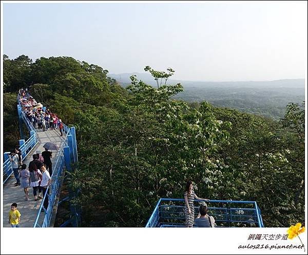 銅鑼天空步道 (10)