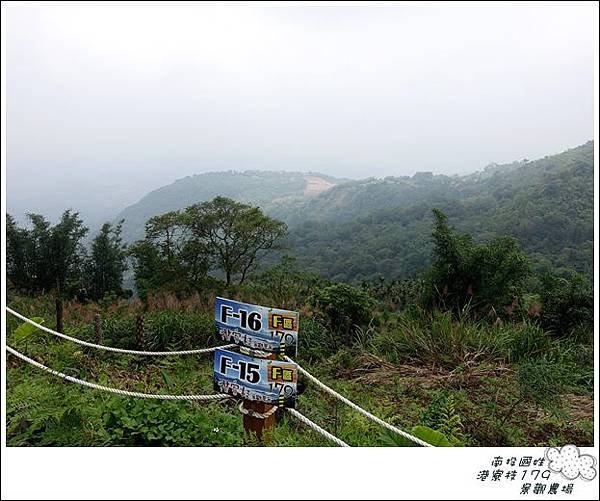 港寮枝179(24露) (34)