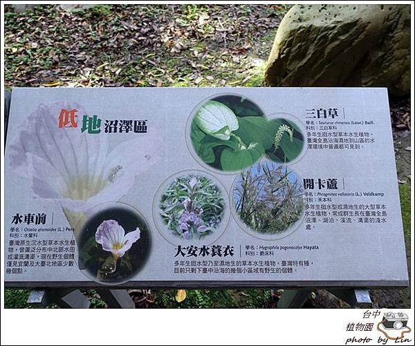 æ¤ç‰©åœ’ã€ç§‘åšé¤¨ (7)