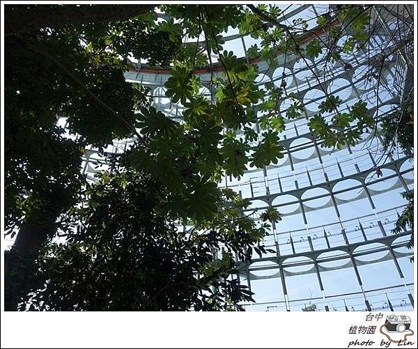 Ã¦Â¤ÂÃ§Â‰Â©Ã¥ÂœÂ’Ã£Â€ÂÃ§Â§Â‘Ã¥ÂÂšÃ©Â¤Â¨ (79)