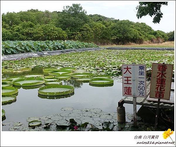 å°å—ç™½æ²³ (74)