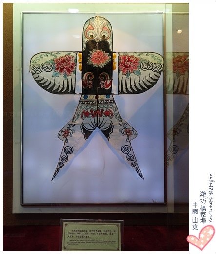 D5濰坊 (28)