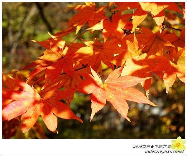 2018æ—¥æœ¬è‡ªç”±è¡Œday3 (260)_å‰¯æœ¬