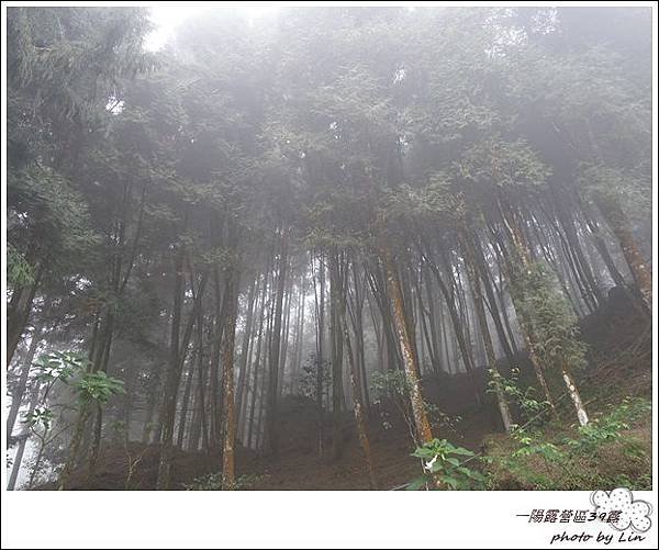一陽露營區39露 (19)