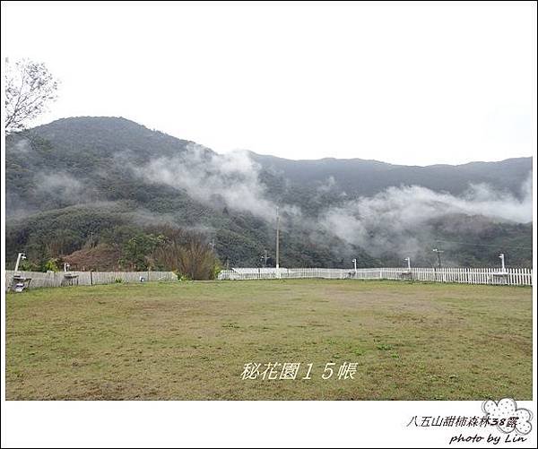 八五山甜柿森林38露 (360)