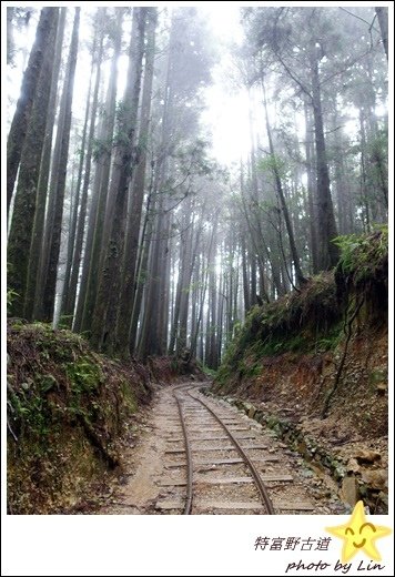 特富野古道 (67)