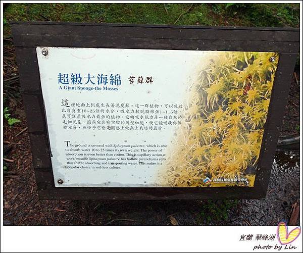 宜蘭 (276)