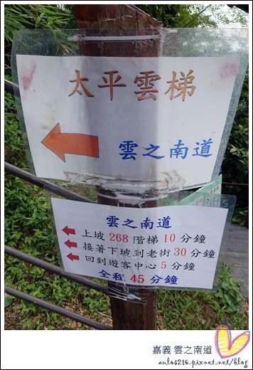 雲之南道 (5).JPG