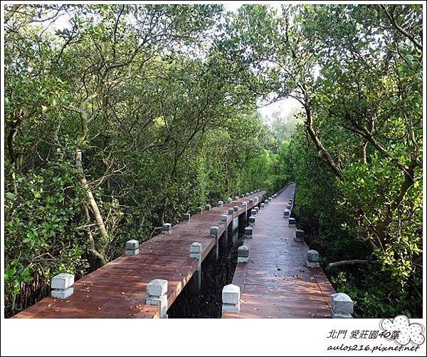 北門 愛莊園40露 (201).JPG