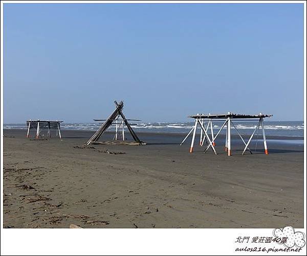 北門 愛莊園40露 (249).JPG