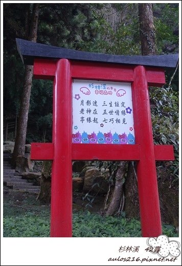 溪頭露營區42露 (105).JPG