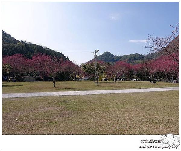太魯灣52露 (12).JPG