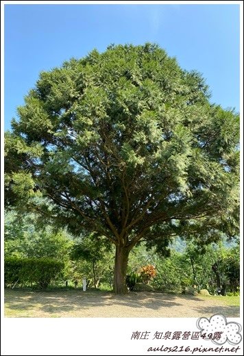 49南庄知泉露營區 (235).JPG