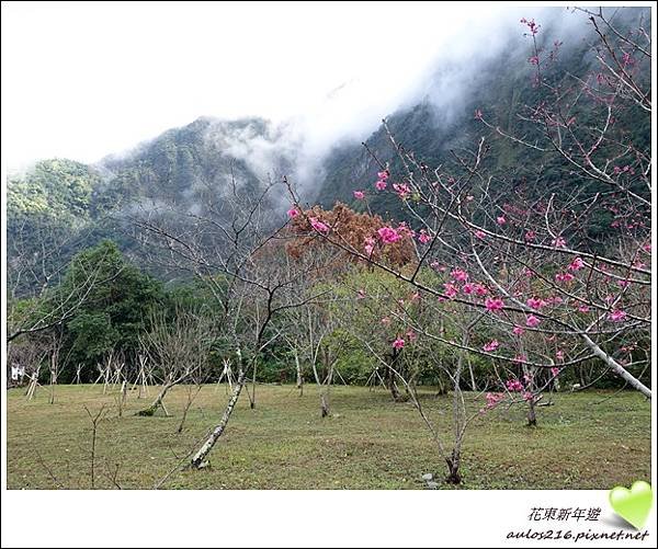 花東新年遊 (174).JPG