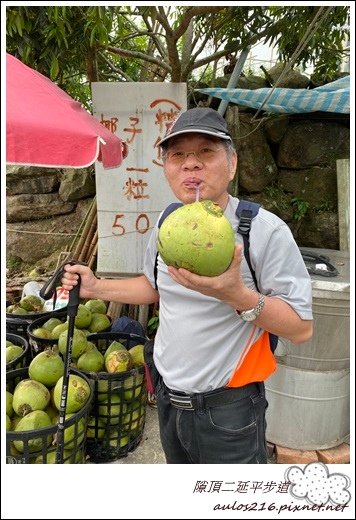 N9 阿里山隙頂 (19).JPG