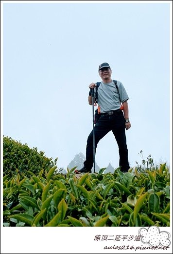 N9 阿里山隙頂 (30).JPG