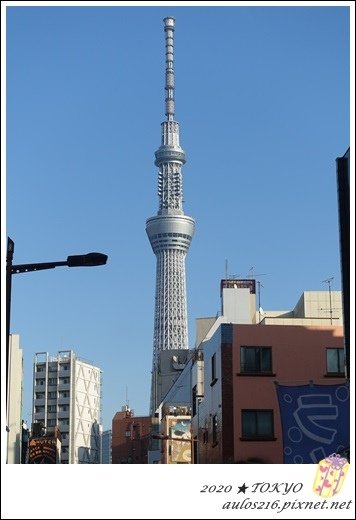 2020 TOKYO (1288).JPG