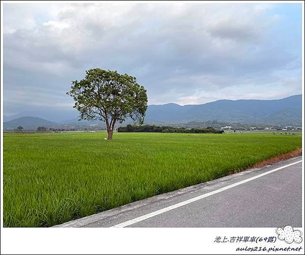 69池上吉祥單車 (17).JPG