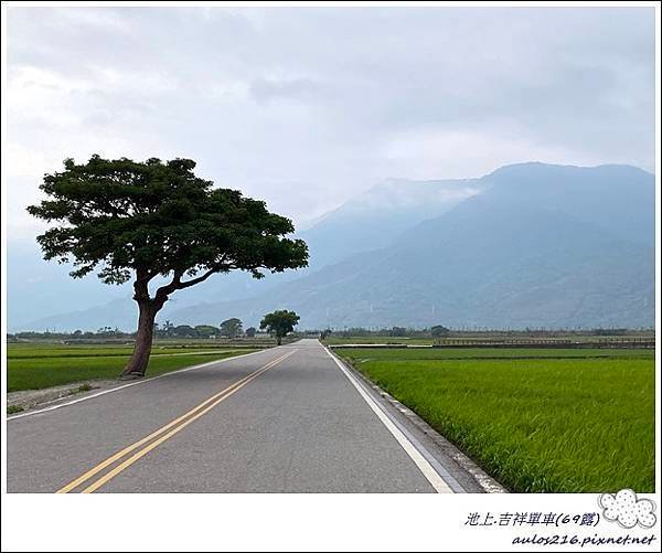 69池上吉祥單車 (80).JPG