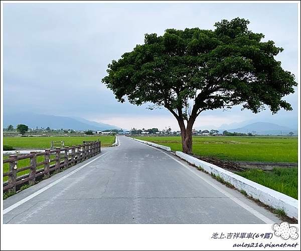 69池上吉祥單車 (86).JPG