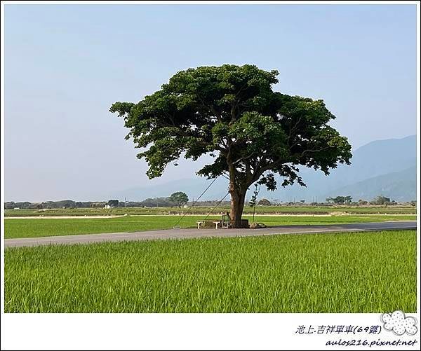 69池上吉祥單車 (96).JPG