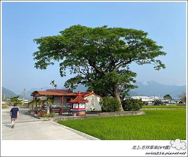 69池上吉祥單車 (103).JPG