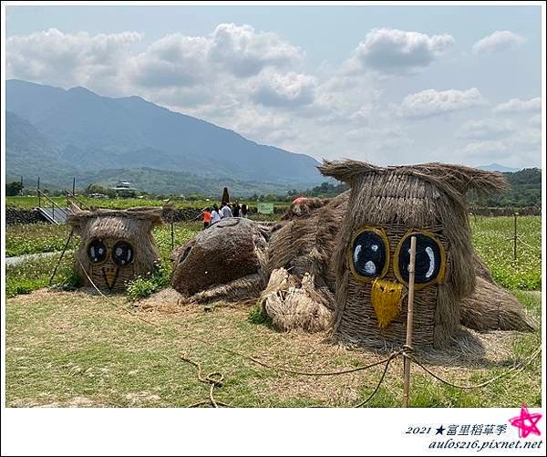 4月花東富里花海D3 (23).JPG