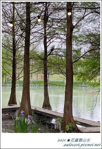 4月花蓮雲山水D4 (32).JPG