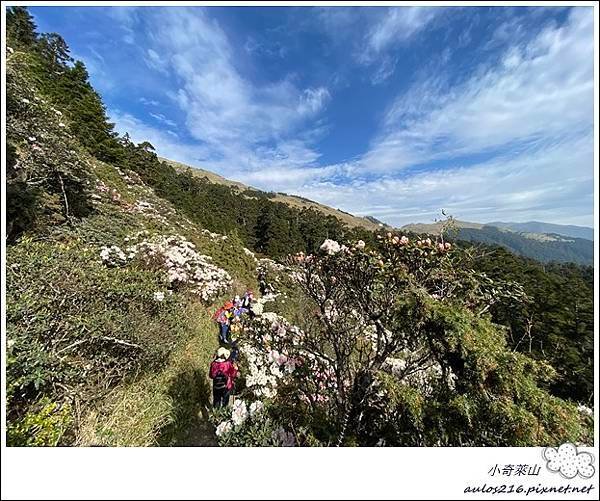 62階櫻花(72露) (154).JPG