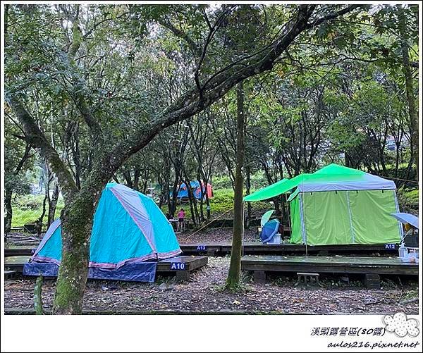 80溪頭露營區 (5).JPG