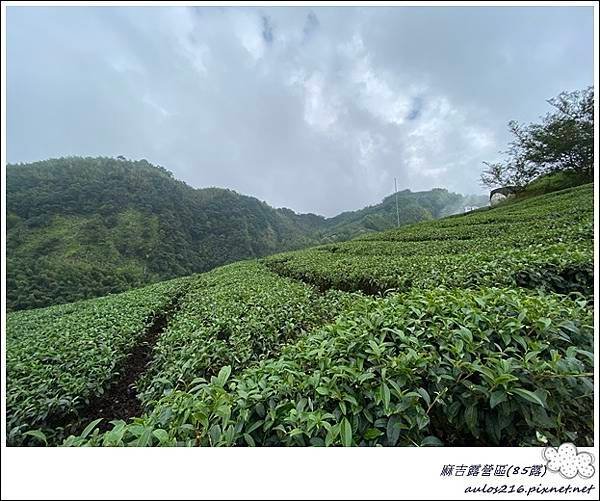 85麻吉露營區 (64).JPG