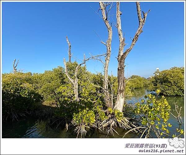93愛莊園 (52).JPG