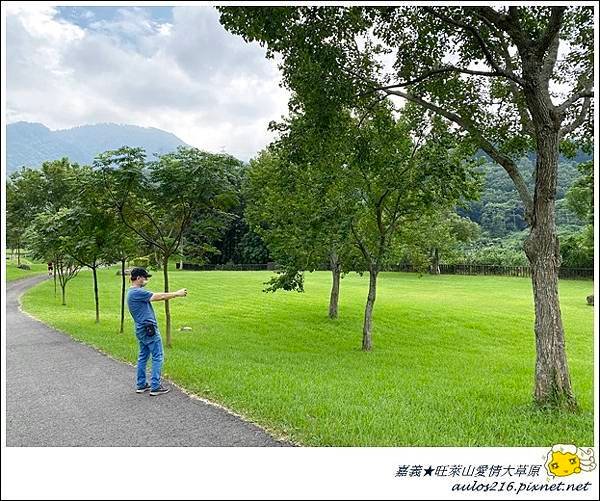 旺萊山愛情大草園 (8).JPG