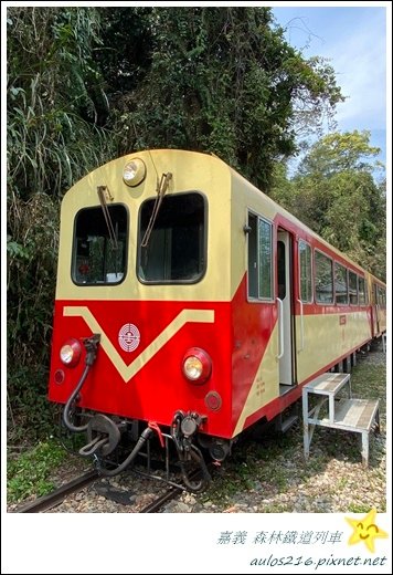 嘉義旅遊｜✿森林導覽列車