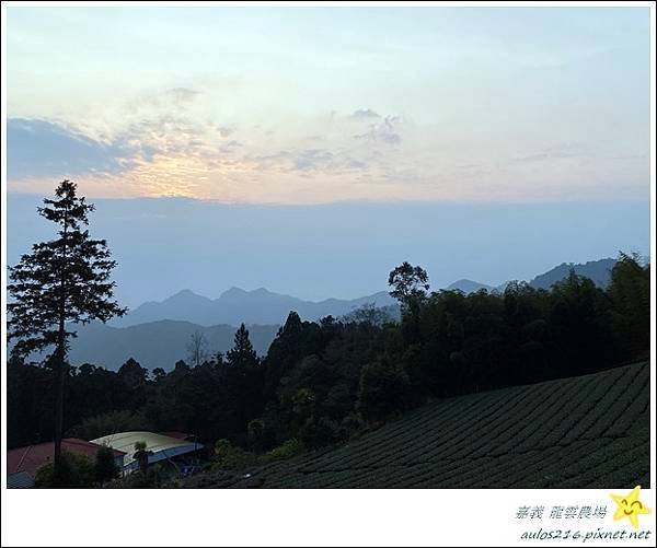 嘉義旅遊✿龍雲農場、櫻之道、霞之道