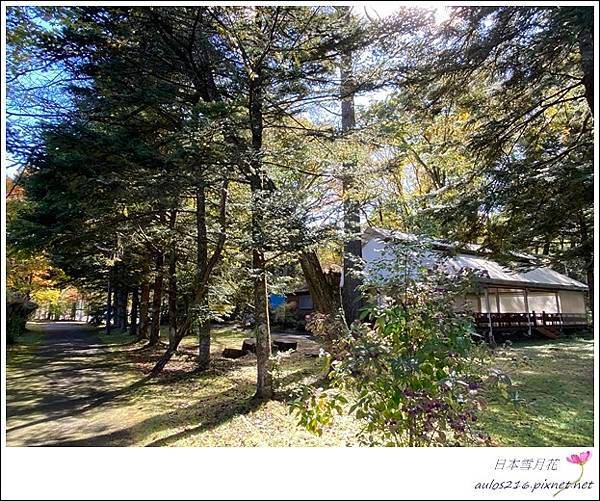 D6鹽澤湖、千住博美術館  (115).JPG