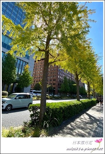 D7皇居散策  (57).JPG
