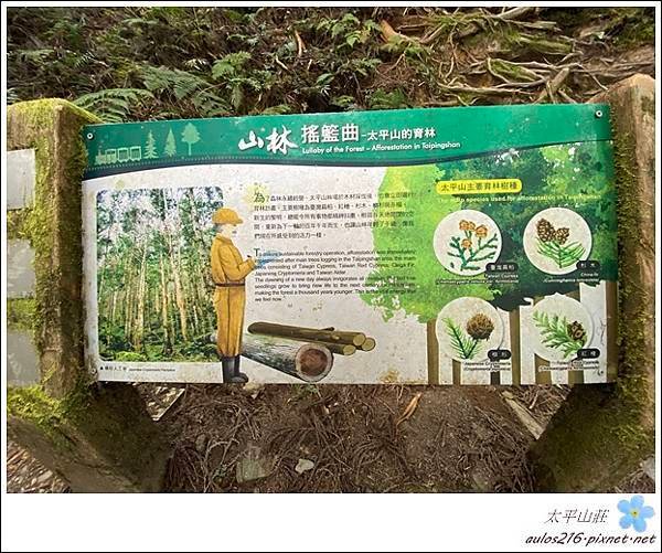 太平山 (161).JPG