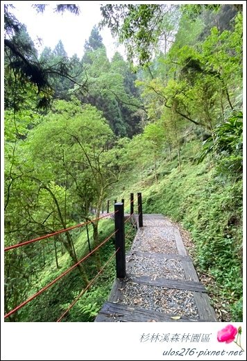 南投2日(雄獅) (150).JPG