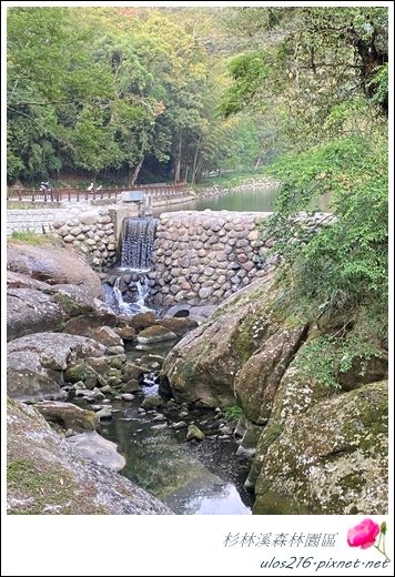 南投2日(雄獅) (159).JPG