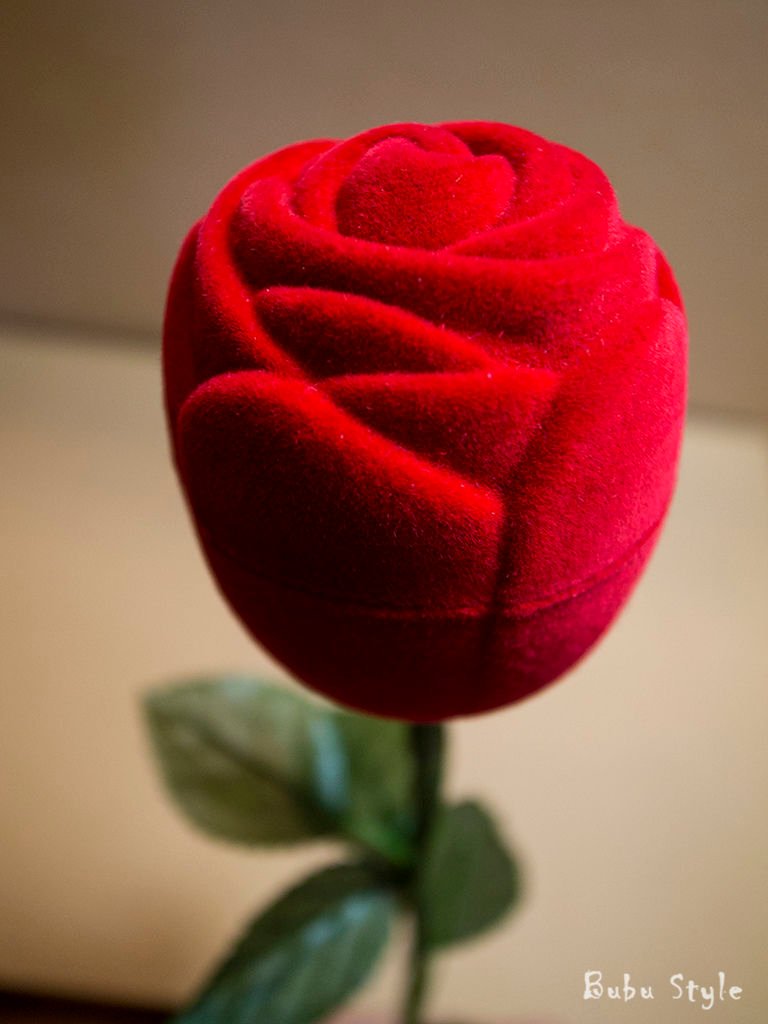 R0026722