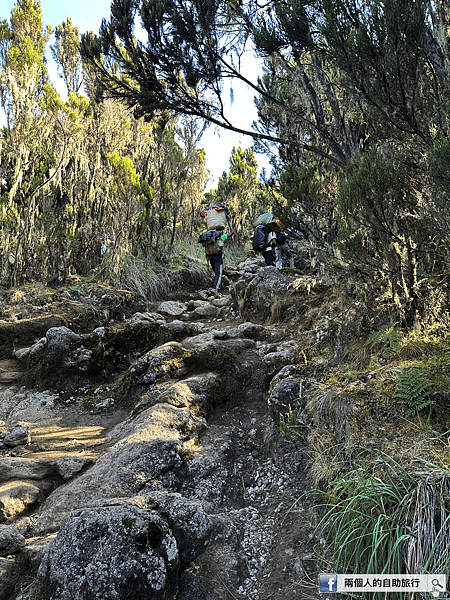 Kilimanjaro day 2 go up.png