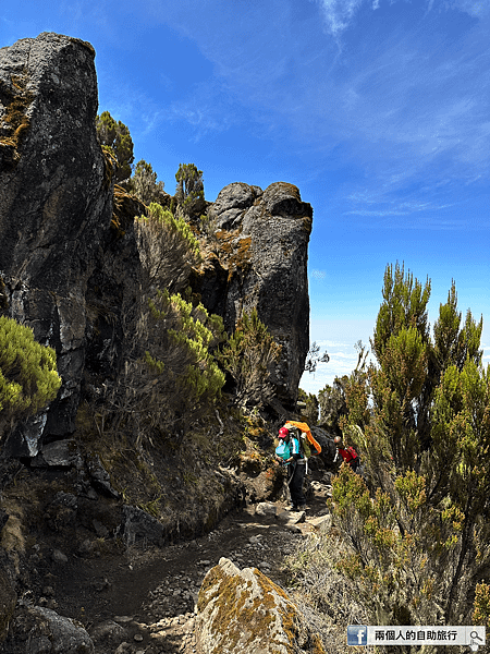 Kilimanjaro porters.png