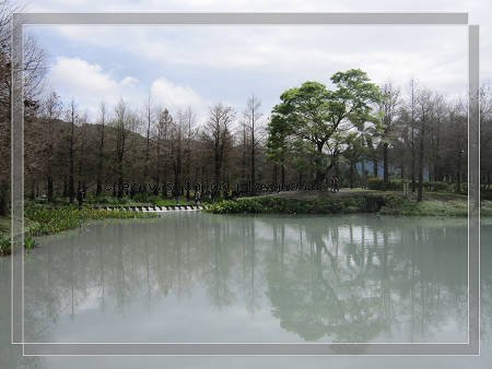 景6