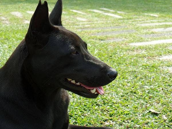 SAM_0129.JPG