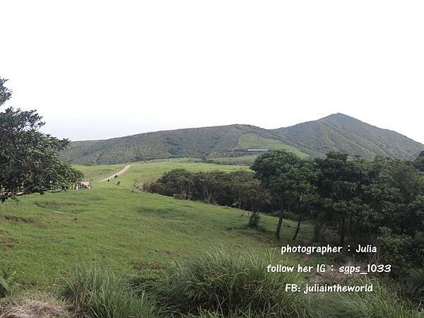 20150611陽明山一日遊_3181.jpg