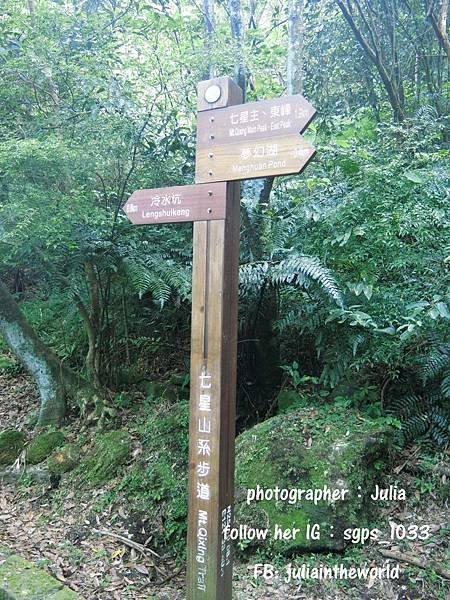 20150611陽明山一日遊_5140.jpg