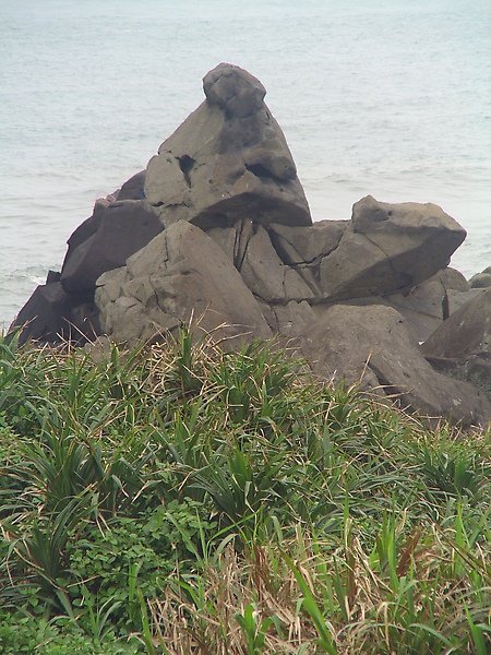 CIMG0595.JPG