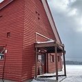 IMG_7441.jpg