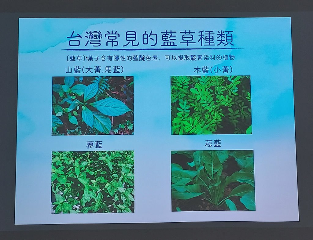 2022-12-03 西中分館「藍藍的藍染」手作體驗